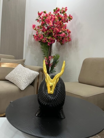 WhatsApp Image 2025-09-19 at 16.46.28